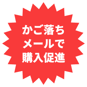 かご落ちメールで購入促進